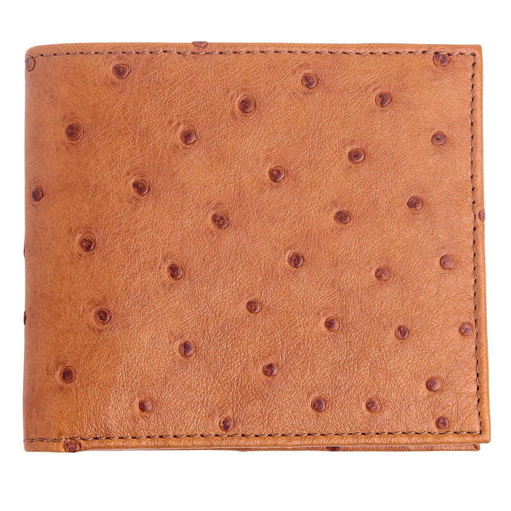 Genuine Ostrich Leather Card Holder ID Documents Dark Brown Color